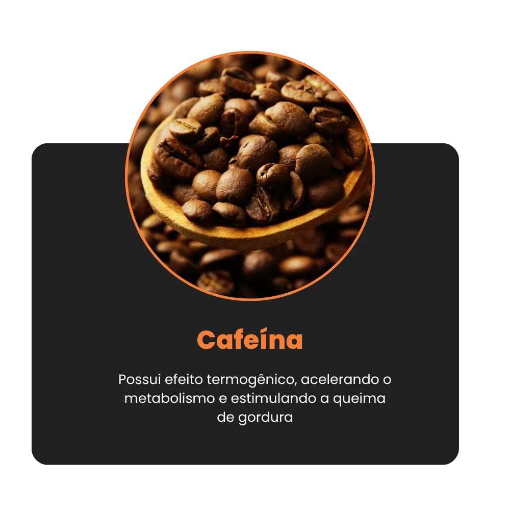 MOCKUPS (6)