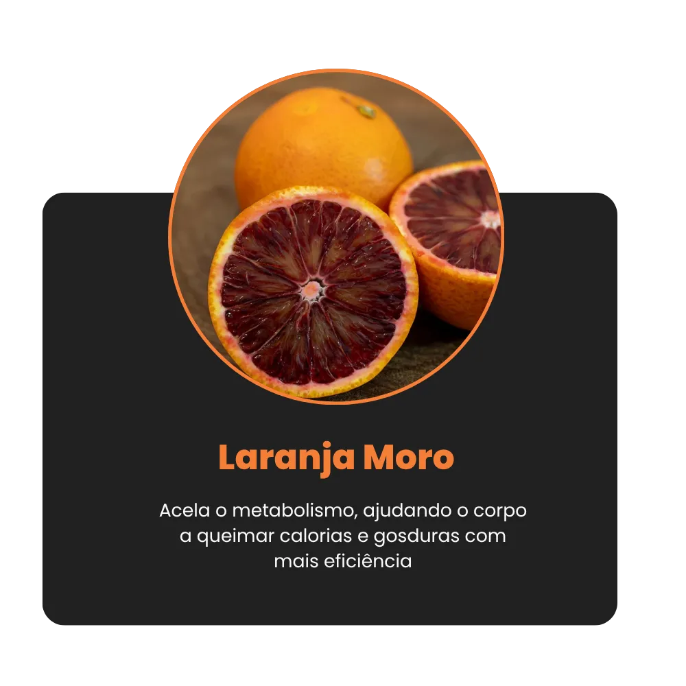 MOCKUPS (7)